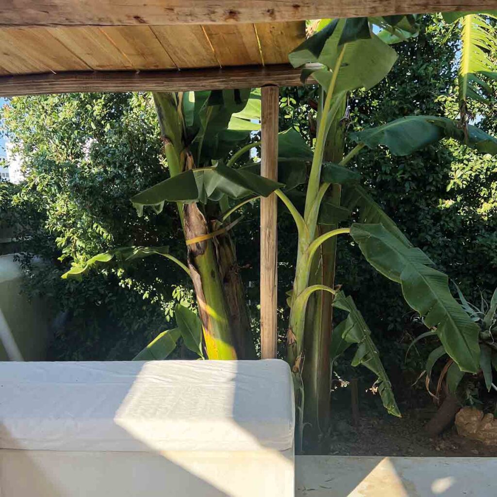 Mediterrane Terrasse mit Holzpergola, mineralischer Sitzbank und tropischen Pflanzen in einem Ferienhaus in Portugal.