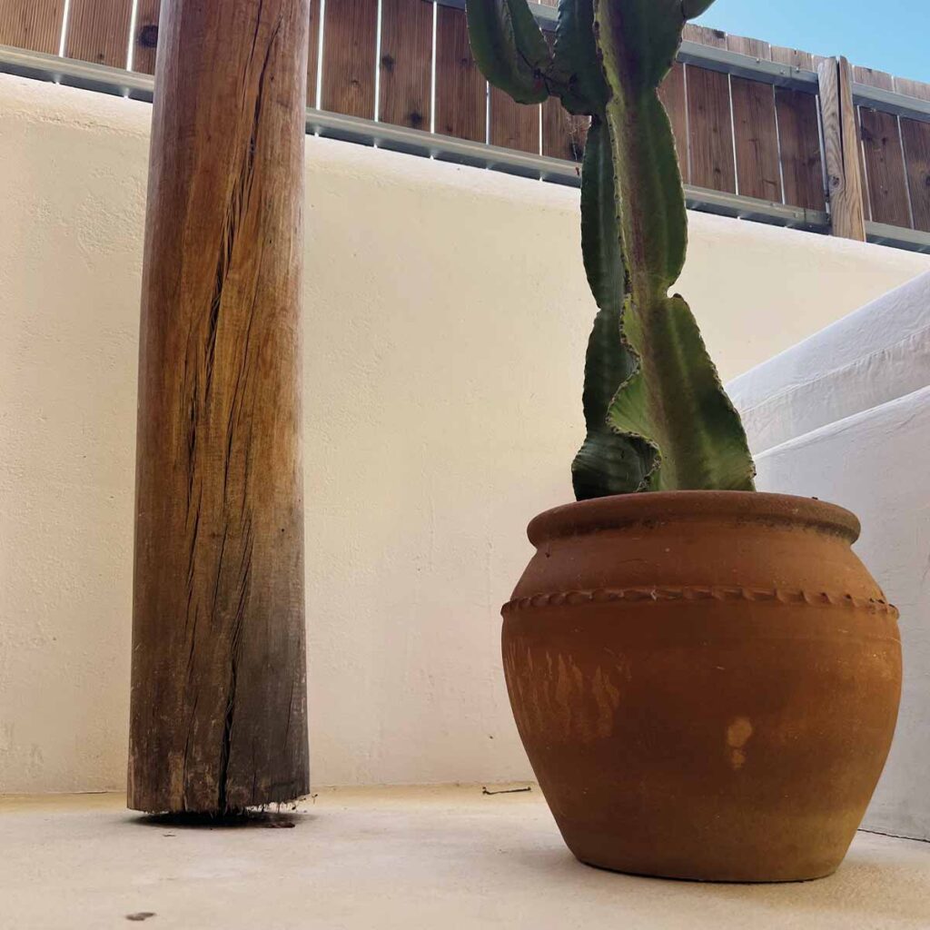 Terrakottatopf mit Kaktus neben einer Holzstütze und mineralischer Wand in einem mediterranen Ferienhaus in Portugal.